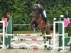 jumper Aaron 358 (sonstiges Warmblut, 2007)