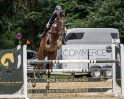 jumper Portofino 84 (Hanoverian, 2016, from Perigueux)