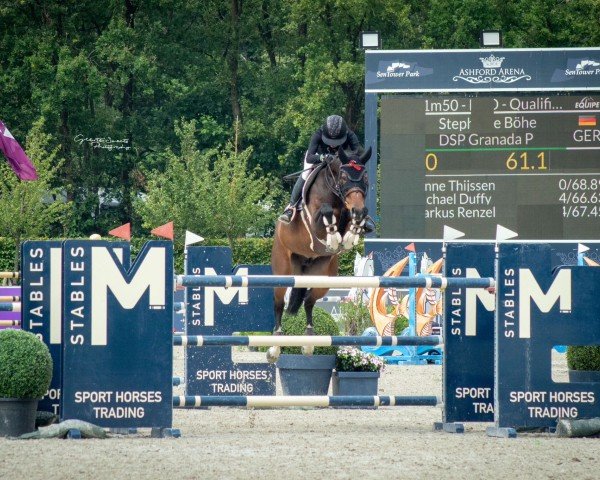 jumper DSP Granada P (German Sport Horse, 2012, from Grey Top)