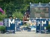 jumper DSP Granada P (German Sport Horse, 2012, from Grey Top)