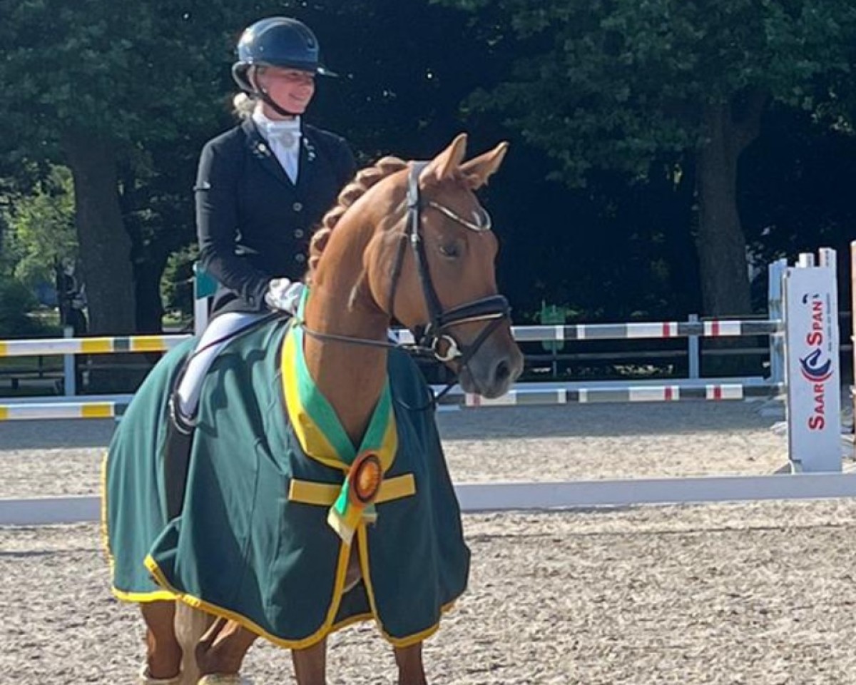 dressage horse DSP Goldschatz (German Riding Pony, 2021, from Genesis BL)