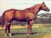 Deckhengst Impressive (Quarter Horse, 1969, von Lucky Bar xx)