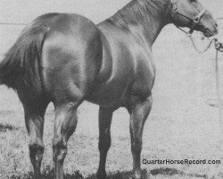 stallion Goldseeker Bars (Quarter Horse, 1962, from Three Bars xx)