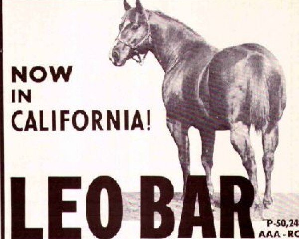 Pferd Leo Bar (Quarter Horse,  , von Three Bars xx)