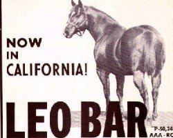 horse Leo Bar (Quarter Horse,  , from Three Bars xx)