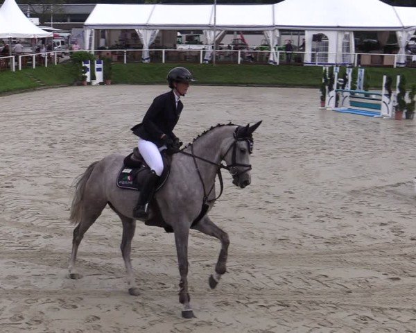 Reitturnier Bergisch Gladbach - Hebborner Hof 2024