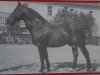 stallion Reichsgraf (Mo) 963 (Oldenburg,  , from Reichsrat)