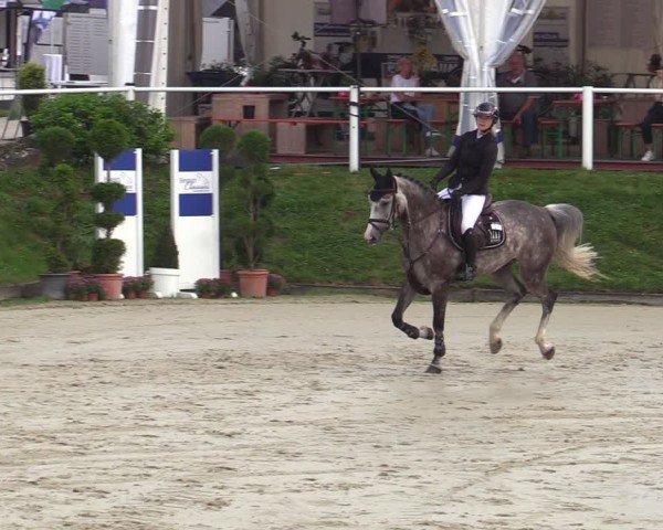 Reitturnier Bergisch Gladbach - Hebborner Hof 2024