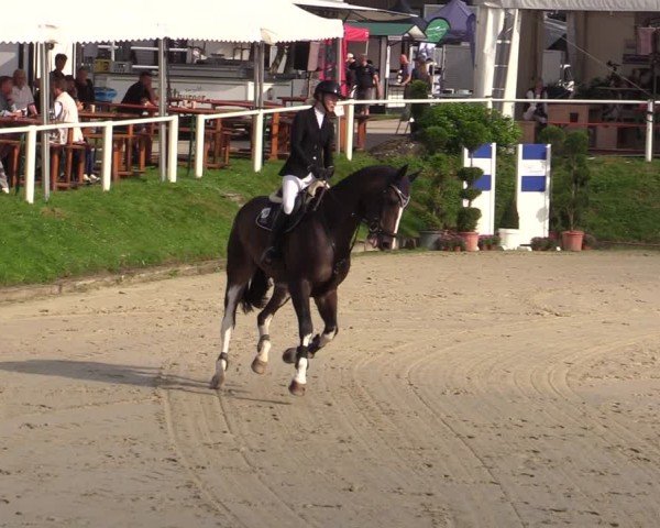 Reitturnier Bergisch Gladbach - Hebborner Hof 2024