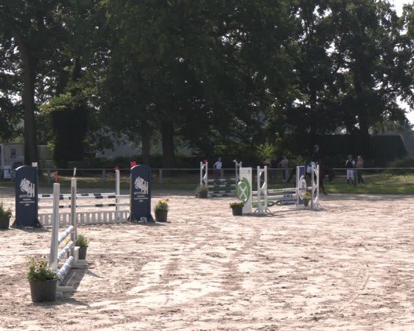 Reitturnier Datteln 2024