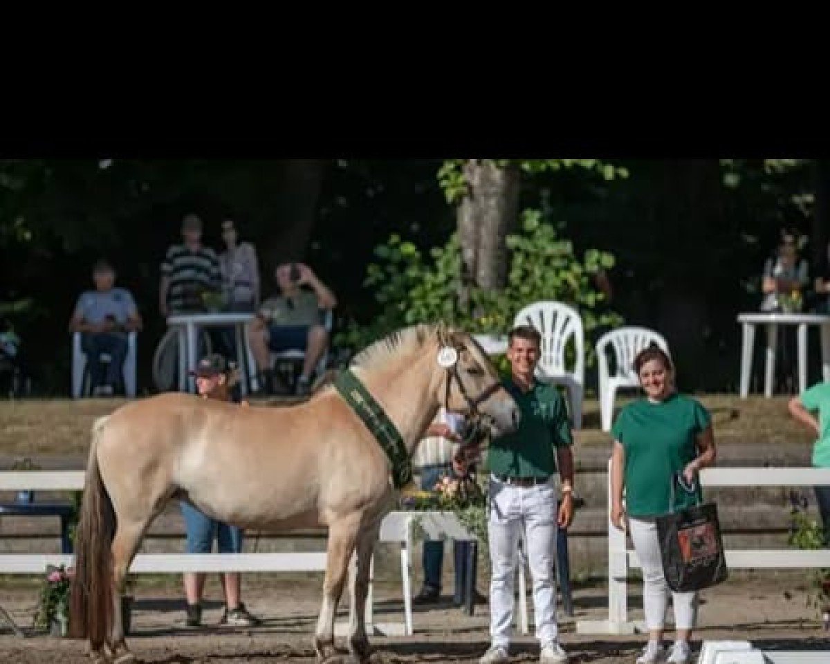 broodmare Lotta (Fjord Horse, 2018, from Stian)