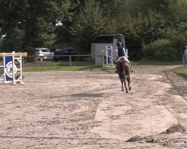 Reitturnier Datteln 2024