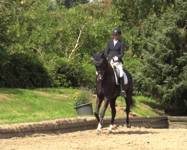 Reitturnier Datteln 2024