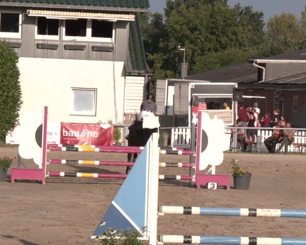 Reitturnier Datteln 2024