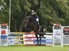 jumper Little Lord (German Sport Horse, 2011, from L'Ami)