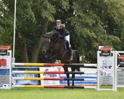 jumper Little Lord (German Sport Horse, 2011, from L'Ami)