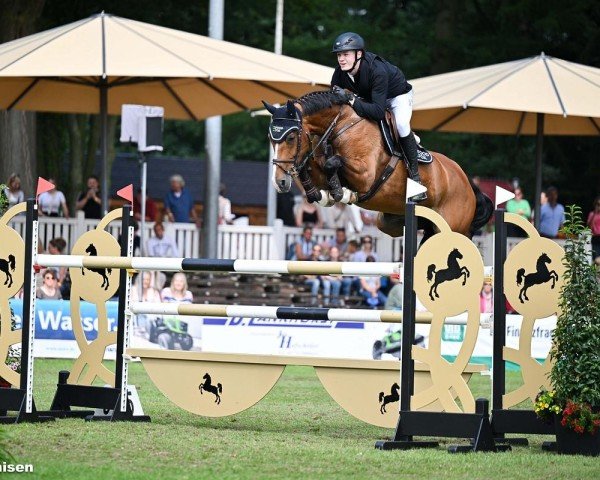 jumper Cathilde H (Holsteiner, 2017, from Cascadello)