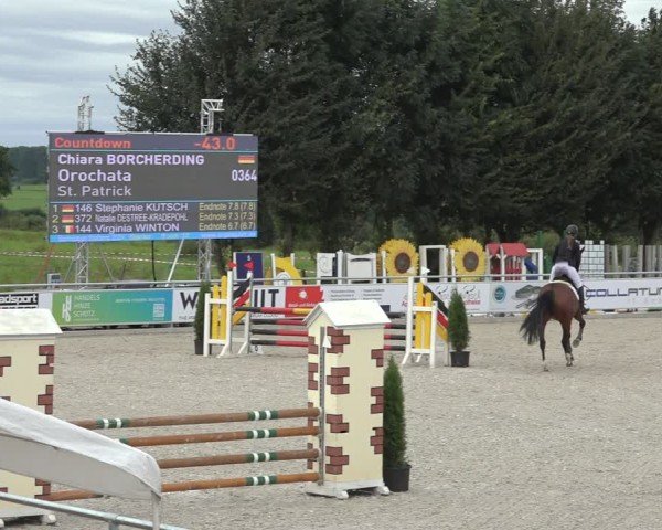 Reitturnier Stolberg-Büsbach 2024
