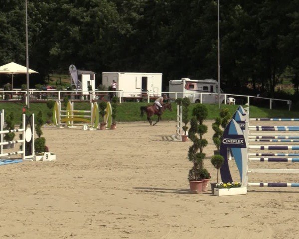 Reitturnier Bergisch Gladbach - Hebborner Hof 2024