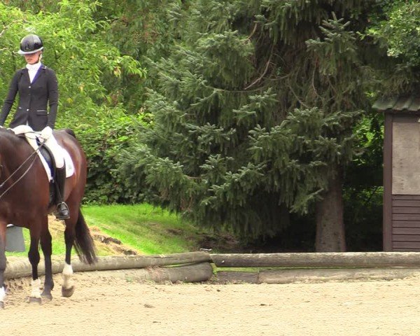Reitturnier Datteln 2024