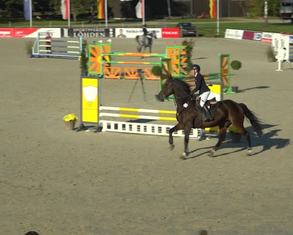Reitturnier Westergellersen 2021