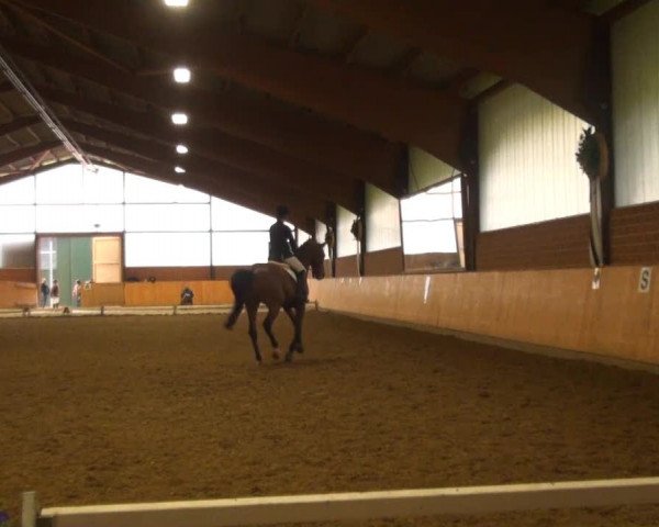 Iserlohn-Kalthof 2013
