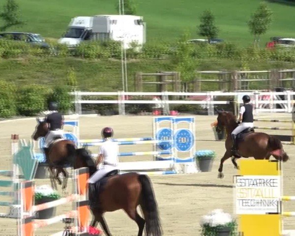 Reitturnier St. Margarethen 2024