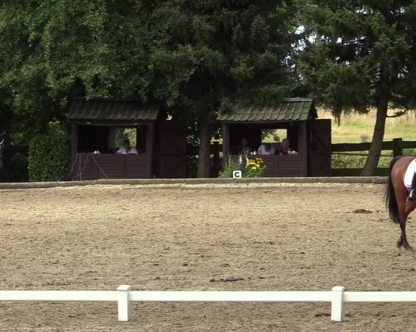 Reitturnier Datteln 2024