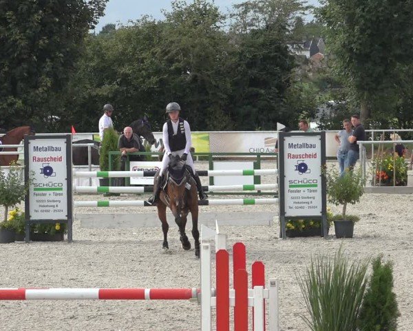 Reitturnier Stolberg-Büsbach 2024