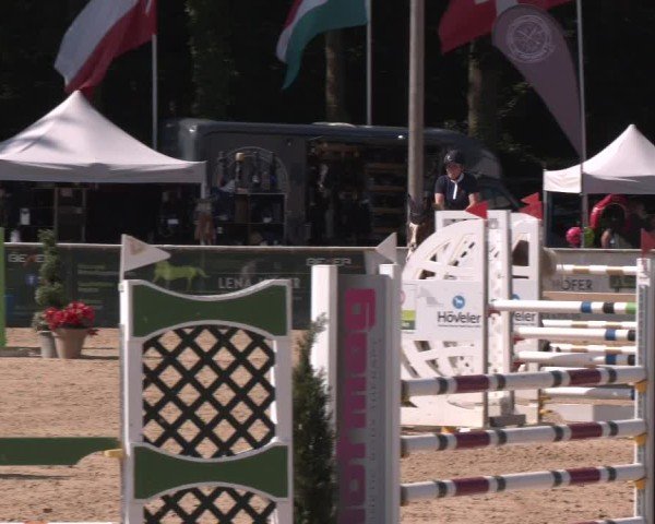 Reitturnier Ranshofen - Braunau am Inn 2024