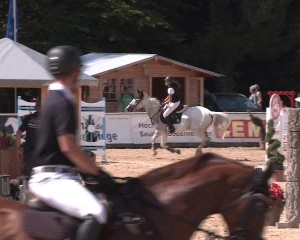 Reitturnier Ranshofen - Braunau am Inn 2024