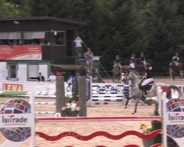Reitturnier Ranshofen - Braunau am Inn 2024