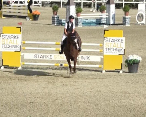 Reitturnier St. Margarethen 2024