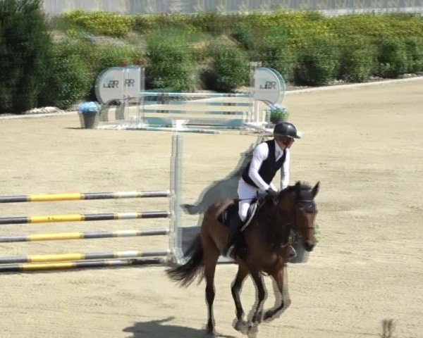 Reitturnier St. Margarethen 2024