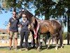 foal by Moneypenny ANW (Austrian Warmblood, 2024, from Blue Hors Viconte)