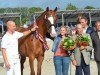 broodmare D.Obertje (KWPN (Royal Dutch Sporthorse), 2008, from San Remo)