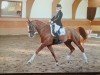 jumper Lamara-Riella (Hanoverian, 2008, from Le Primeur)