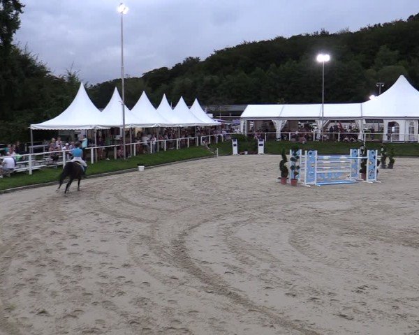 Reitturnier Bergisch Gladbach - Hebborner Hof 2024