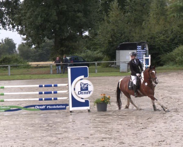 Reitturnier Datteln 2024