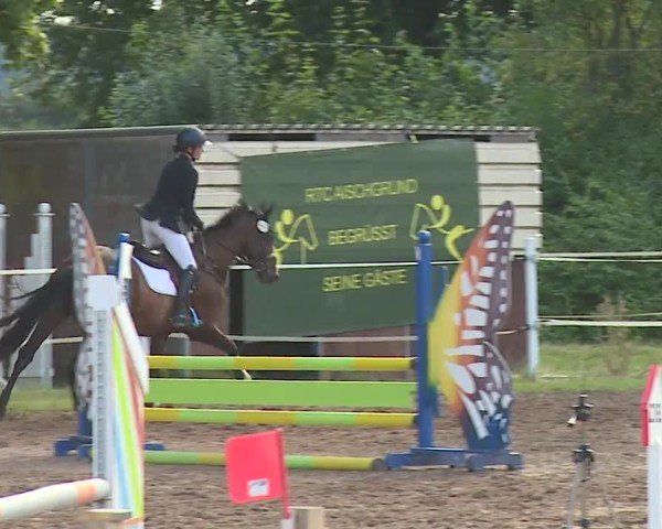 Reitturnier Demantsfürth/Mfr. 2024