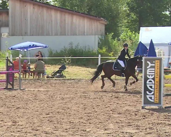 Reitturnier Demantsfürth/Mfr. 2024