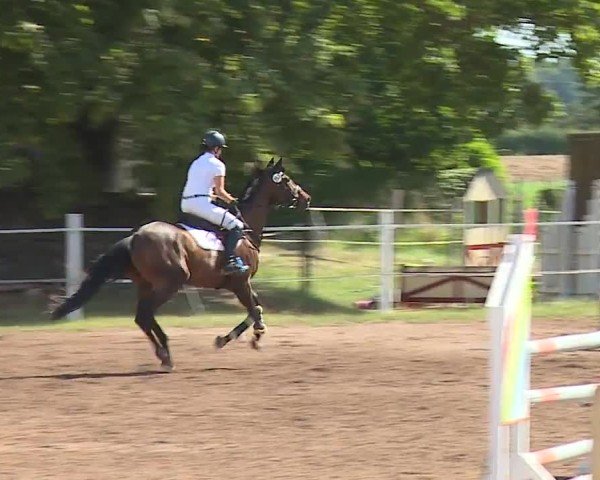 Reitturnier Demantsfürth/Mfr. 2024