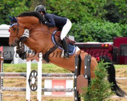 jumper Gucci of Roses (Belgian Warmblood, 2006, from Cicero Z van Paemel)