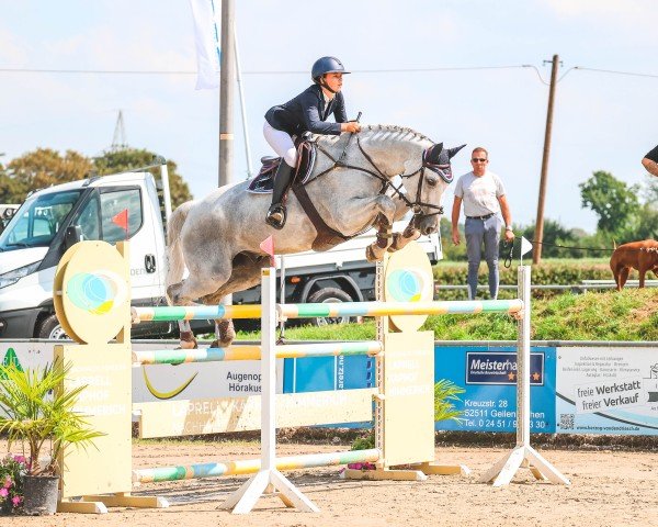 jumper Blue Silver (Oldenburg, 2005, from Balou du Rouet)