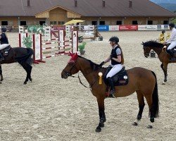 jumper Neugschwent's Kalinka (Oldenburg show jumper, 2015, from Kannan)