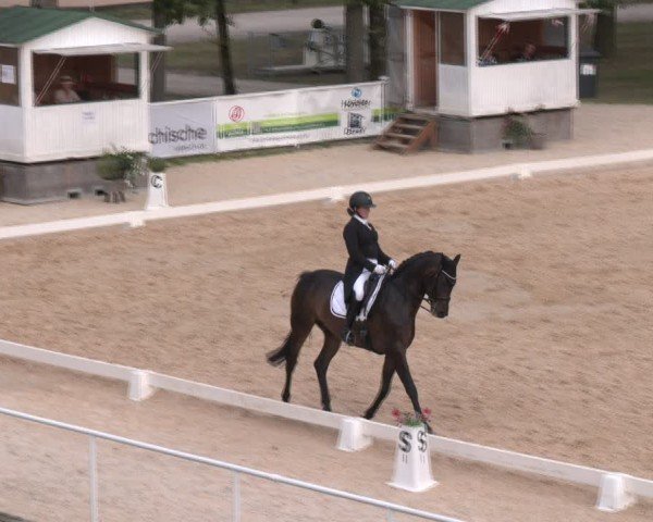 Reitturnier Stadl-Paura 2024