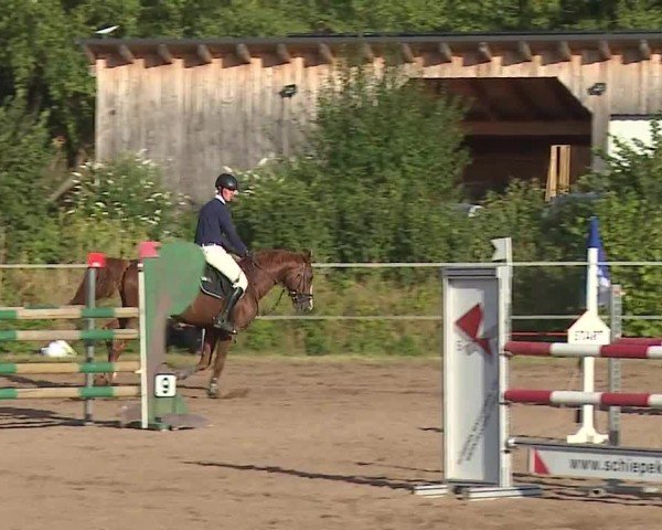 Reitturnier Demantsfürth/Mfr. 2024