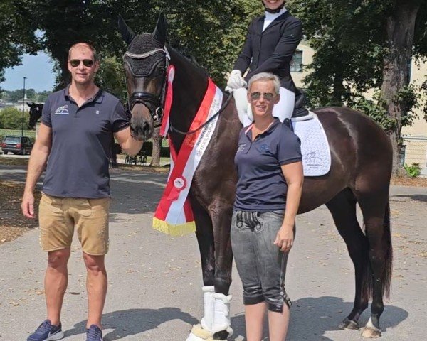 dressage horse Wild Amour ANW (Austrian Warmblood, 2021, from San Amour I)