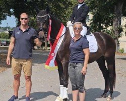 dressage horse Wild Amour ANW (Austrian Warmblood, 2021, from San Amour I)