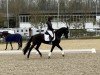 dressage horse Fineline In Black (Hanoverian, 2019, from Fürst Samarant)